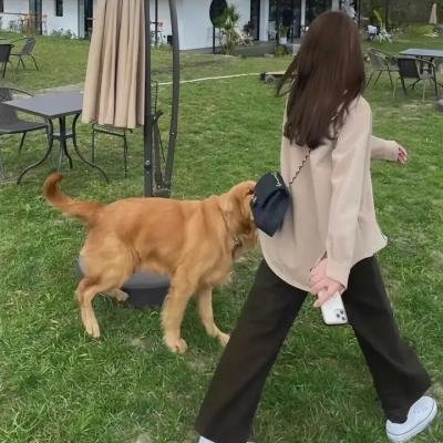 土地
